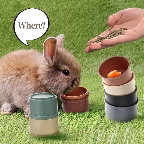 MEWTOGO 8 Pcs Stacking Cups for Bunny - Multi-Colored Reusable Rabbits Bunny Toys of Different Sizes, Safe Plastic Nesting Toys for Guinea Pig Hamster Gifts Hiding Food and Playing thumbnail 5