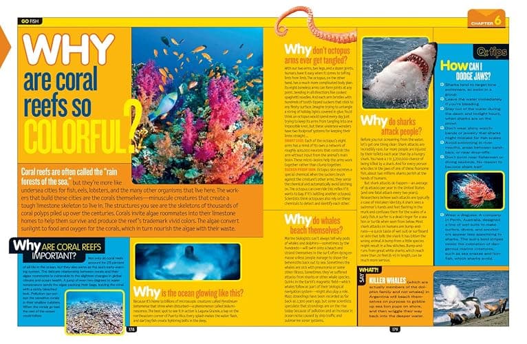 National Geographic Kids Why?: Over 1,111 Answers to Everything (NGK Why?) thumbnail 7
