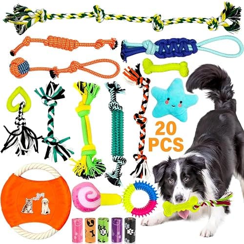 Starter Toys - Image 1