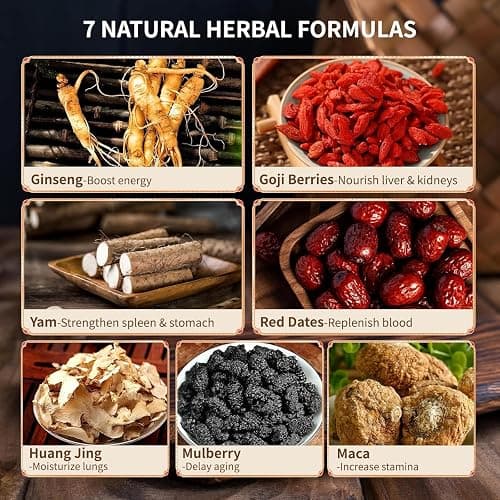 Ginseng Five Treasures Kidney Tea, Traditional Chinese Herbal TeaBags, Natural Kidney Cleanse Detox Tea for Women & Men, 7 Precious Ingredients Formula(1 Pack/25 Bags) thumbnail 3
