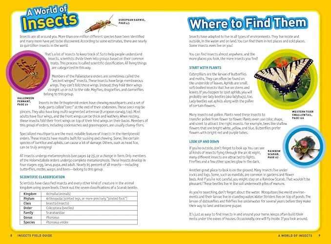 Ultimate Explorer Field Guide: Insects: Find Adventure! Go Outside! Have Fun! Be a Backyard Insect Inspector! thumbnail 2
