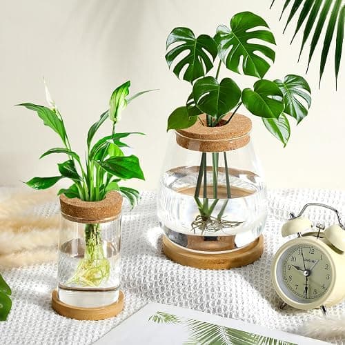 Layhit 4 Pcs Plants Propagation Stations vases Glass Planters with Wooden Lid and Bamboo Stand for Hydroponic Plants Gardening Gifts for Women Mom Home Office Tabletop Decoration(Classic Style) - Classic Style thumbnail 2