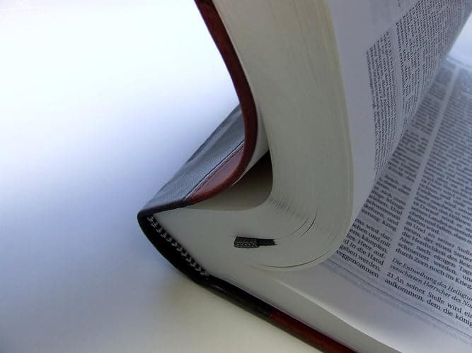 German Bible Die Bibel, Schlachter 2000, 2-toned Brown and Black, leather-soft, Contemporary Bible thumbnail 9