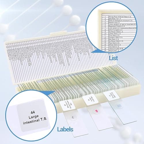 60 Microscope Slides with Specimens for Kids, Prepared Microscope Slides for Kids Microbiology, Prepared Microscope Slides for Adults thumbnail 4