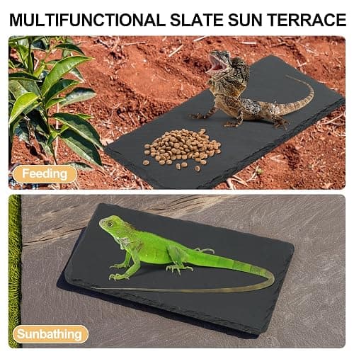CAPASTEC Reptiles Slate Rocks, Basking Surface Reptile Basking Platform, Enhances Climbing Activity, 7.87"x3.94", Black Gray thumbnail 6