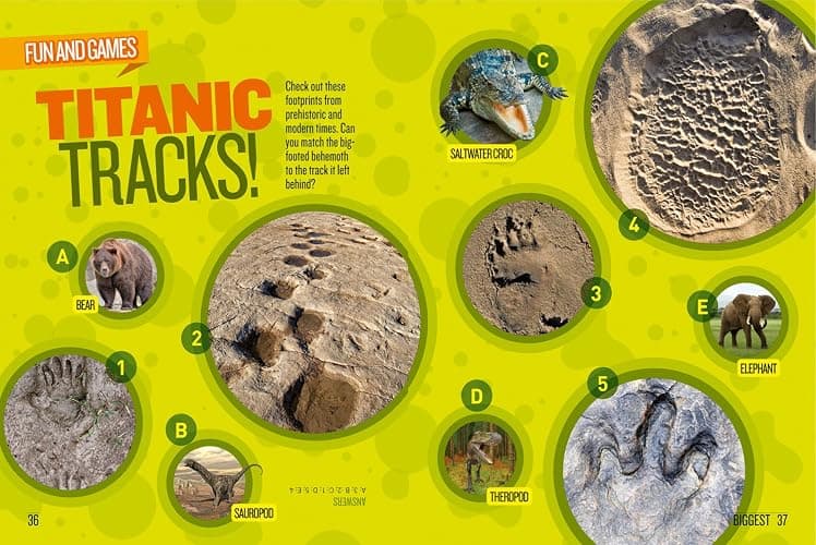 National Geographic Kids Dino Records: The Most Amazing Prehistoric Creatures Ever to Have Lived on Earth! (NGK Records) thumbnail 3