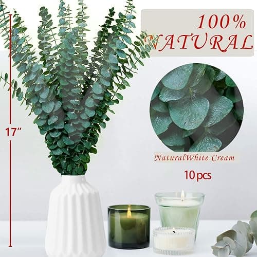 10 Pcs Dried Preserved Eucalyptus for Shower ,17" Real Natural Fresh Hanging Eucalyptus Stems,Real Leaves Branches for Vase Filler,Bathroom,Wedding,Dried Flowers Arrangement Decor - Green-10pcs thumbnail 2