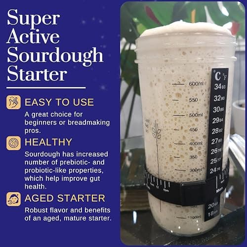 Mature Sourdough Starter Culture – 100+ Years Old Dehydrated Sourdough Starter Kit for Delicious Homemade Sourdough Bread – All-Natural and Healthy - Beginner Friendly, Fast reactivation and Expert Support thumbnail 7