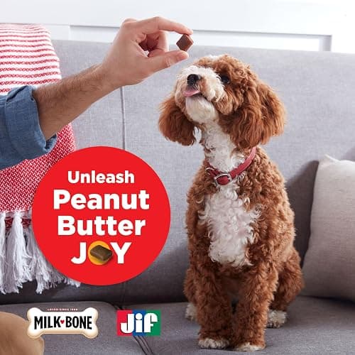 Milk-Bone Peanut Buttery Bites Soft Dog Treats with Jif Peanut Butter, 11.8 Ounce Bag thumbnail 6