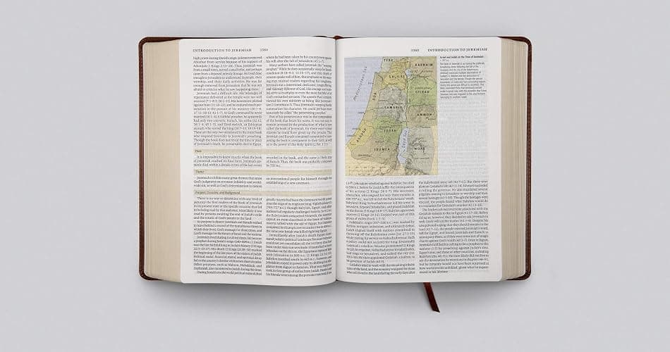 ESV Study Bible (TruTone, Walnut, Celtic Imprint Design) thumbnail 6