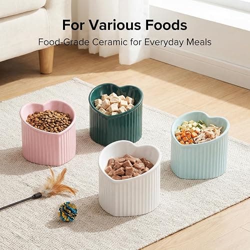 Pink Ceramic Raised Cat Bowls, Tilted Elevated Food or Water Bowls, Stress Free, Backflow Prevention, Dishwasher and Microwave Safe, Lead & Cadmium Free thumbnail 5