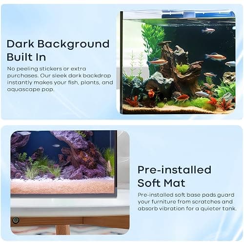 Wonderfactory 5 Gallon Small Aquarium Set Glass Fish Tank 6 Gallon, Starter Kit with Heater Water Pump Cleaning System Filter Bright Light Rocks Gravel Cleaning Tool, Clear Rimless Betta Plants thumbnail 8