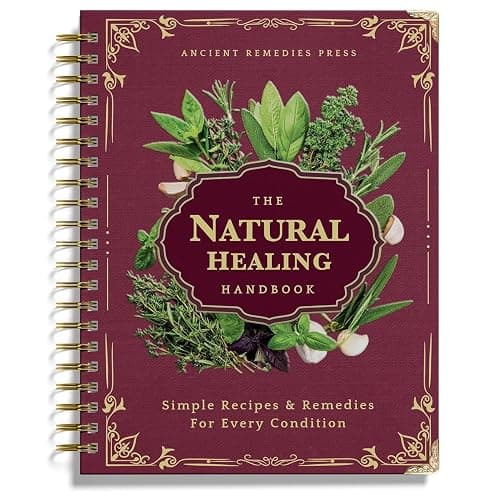 The natural healing handbook  - Image 1