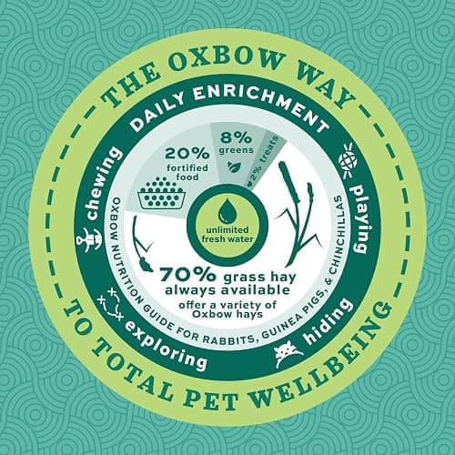Oxbow Essentials Guinea Pig Food, Adult Guinea Pig, Made with Oxbow Timothy Hay, Pet Food Pellets with Vitamin C, Small Animal Pet Products, Made in USA, High Fiber, 10 lb. bag thumbnail 11