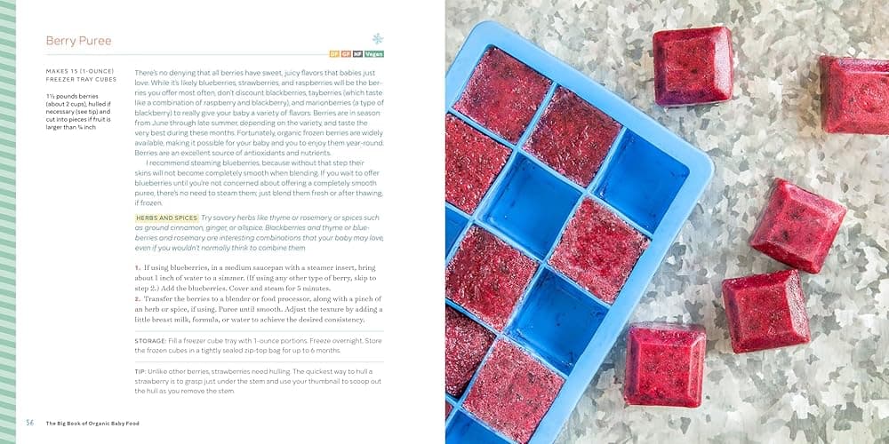 The Big Book of Organic Baby Food: Baby Purées, Finger Foods, and Toddler Meals For Every Stage (Organic Foods for Baby and Toddler) thumbnail 7