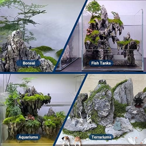 ChaoLeHo Natural Rocks Seiryu Stones Aquariums Stones for Aquascaping, Aquariums, Terrariums, Vivariums Decorative Stone,Reptile Enclosures,Paludariums,and Gardens-10lb（2 to 7 inch） thumbnail 8