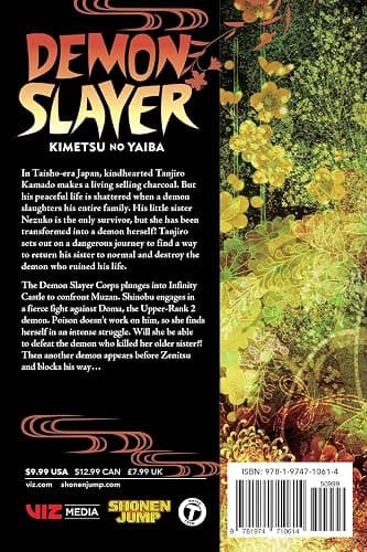 Demon Slayer: Kimetsu no Yaiba, Vol. 17 thumbnail 2