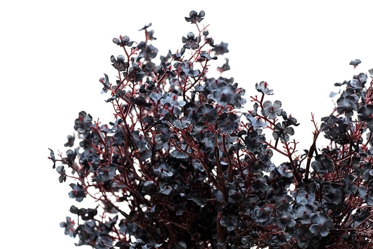 JAKY-Global Babys Breath Fabric Cloth Artificial Flowers 6 Bundle European Fake Silk Plants Decor Wedding Party Decoration Bouquets Real Touch DIY Home Garden (Black-6pcs) thumbnail 5