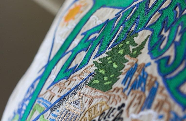 Catstudio Tennessee Hand Embroidered Decorative Throw Pillow thumbnail 5
