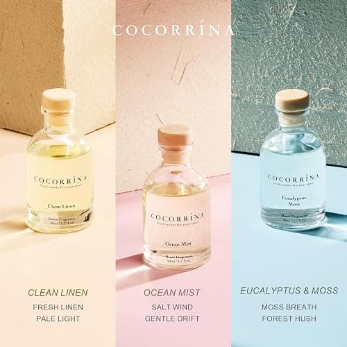 COCORRÍNA Reed Diffuser Set of 3 with Dried Eucalyptus for Home & Office | Eucalyptus & Moss/Clean Linen/Ocean Mist Scents,Aromatherapy Scented Oil Diffusers, 1.7 oz Each, Total 5.1 oz thumbnail 3