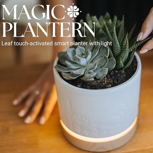 Magic Plantern® | Touch Your Plant to Turn On the Light | Planter Lamp | Unique Plant Lover Gift | Nightstand Ambient Lamp | Succulent Pot with LED thumbnail 8
