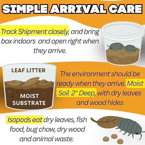 10 Mega Mix Isopods | 8oz Coco Temperate Springtails | Live Arrival Nationwide! thumbnail 8