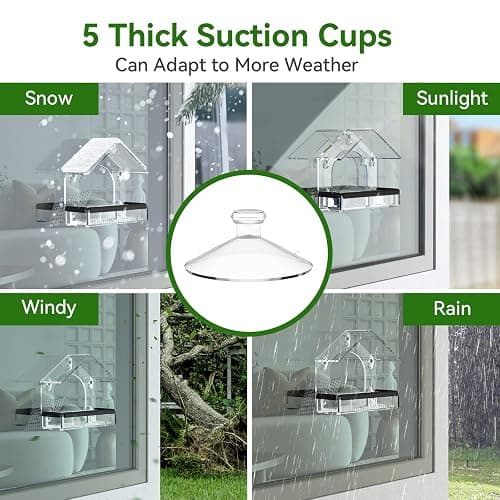 Clear Window Bird Feeder with 5 Extra Strong Suction Cups, DY-SKTY Sturdy and Durable Acrylic Birdfeeders for Viewing Wild Birds Outside, as a Bird Watching Gift, Outdoor Birdhouse Box, Garden Decor thumbnail 4
