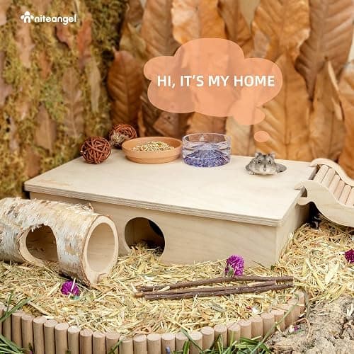 Niteangel Multi-Chamber Hamster House Maze - Multi-Room Hideouts & Tunnel Exploring Toys for Hamster Gerbils Mice Lemmings (6-Room Small) thumbnail 6