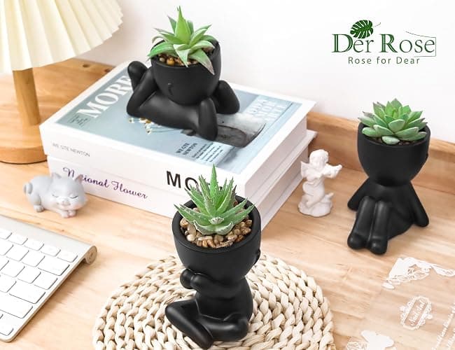 Der Rose 3pcs Fake Succulents Plants Artificial for Black Bathroom Bedroom Home Living Room Halloween Decor Aesthetic Indoor thumbnail 2