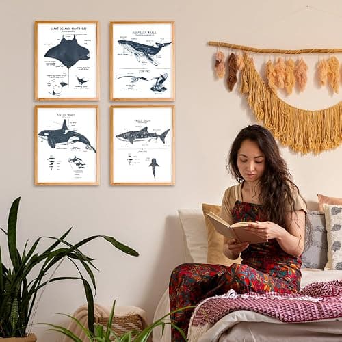 VIIJJUE Whale Shark Decor Wall Art Prints Set of 4, Shark poster, Ocean Beach Room Decor posters, Ocean Marine Life Educational Wall Art for Classroom Bathroom Living Room, 8x10 Inches Unframed thumbnail 3