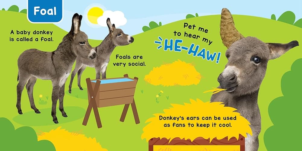 Little Hippo Books Baby Animals - A Noisy Touch and Feel Sensory Book Featuring Farm Sounds thumbnail 6