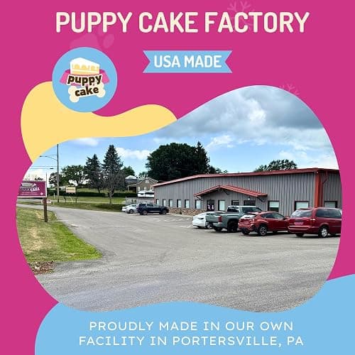 Puppy Scoops Dog Ice Cream Mix - Just Add Water and Freeze at Home, Powder Mix with Ice Cream Cup and Reusable Lid, (Birthday Cake with Pupfetti Sprinkles Flavor), 5.65 oz - Made in USA thumbnail 8