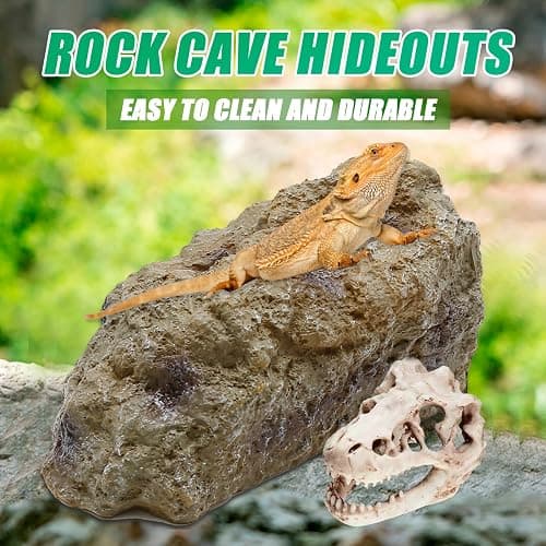 Anxingo Reptile Rock Reptile Cave Hideout for Snakes/Geckos/Lizards/Turtles and Other Amphibians, with Dinosaur Skull (Small) thumbnail 8