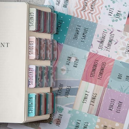 DiverseBee Laminated Bible Tabs (Large Print, Easy to Read), Personalized Bible Journaling Tabs, 66 Book Tabs and 6 Blank Tabs - Uniform Theme thumbnail 2