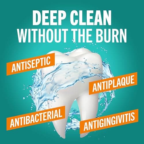 TheraBreath Deep Clean Mouthwash, Antiseptic Benefits, Fresh Mint Flavor, Dentist Formulated, Alcohol Free, 16 fl oz (Pack of 2) thumbnail 3