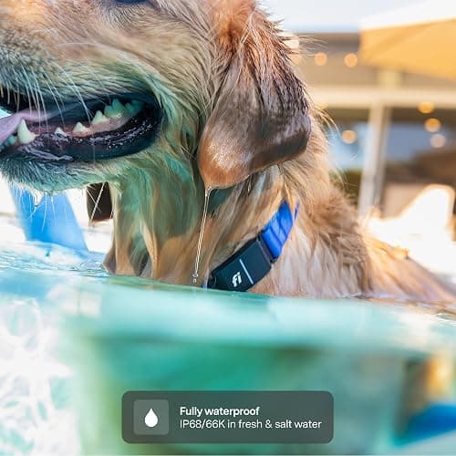 New Fi Series 3+ Smart Dog Tracker Collar – AI GPS for Dogs, Health & Behavior Monitor, Virtual Fence, Escape Alerts, Waterproof, Apple Watch Compatible 12Mo Membership Included thumbnail 2