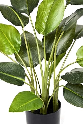 GreenBrokers Artificial Real Touch Bird of Paradise (Strelitzia) Plant in Black Pot Ideal for Home, Office, Indoor Outdoor Living 78cm/30in thumbnail 3