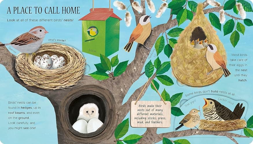 One Little Egg: Exploring Nature for Curious Kids thumbnail 4