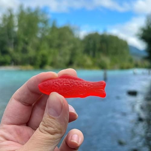 SWEDISH FISH Soft & Chewy Candy, Bulk Candy, 5 lb thumbnail 10