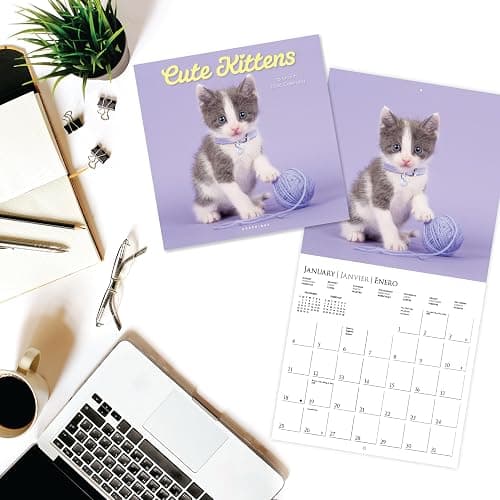 Graphique 2026 Cute Kittens Wall Calendar | 12” x 12” | Thick Paper | Home & Office Organizer | Large Monthly Grid | 3 Languages & Marked Holidays | 4 Month Preview Page for 2027 thumbnail 2