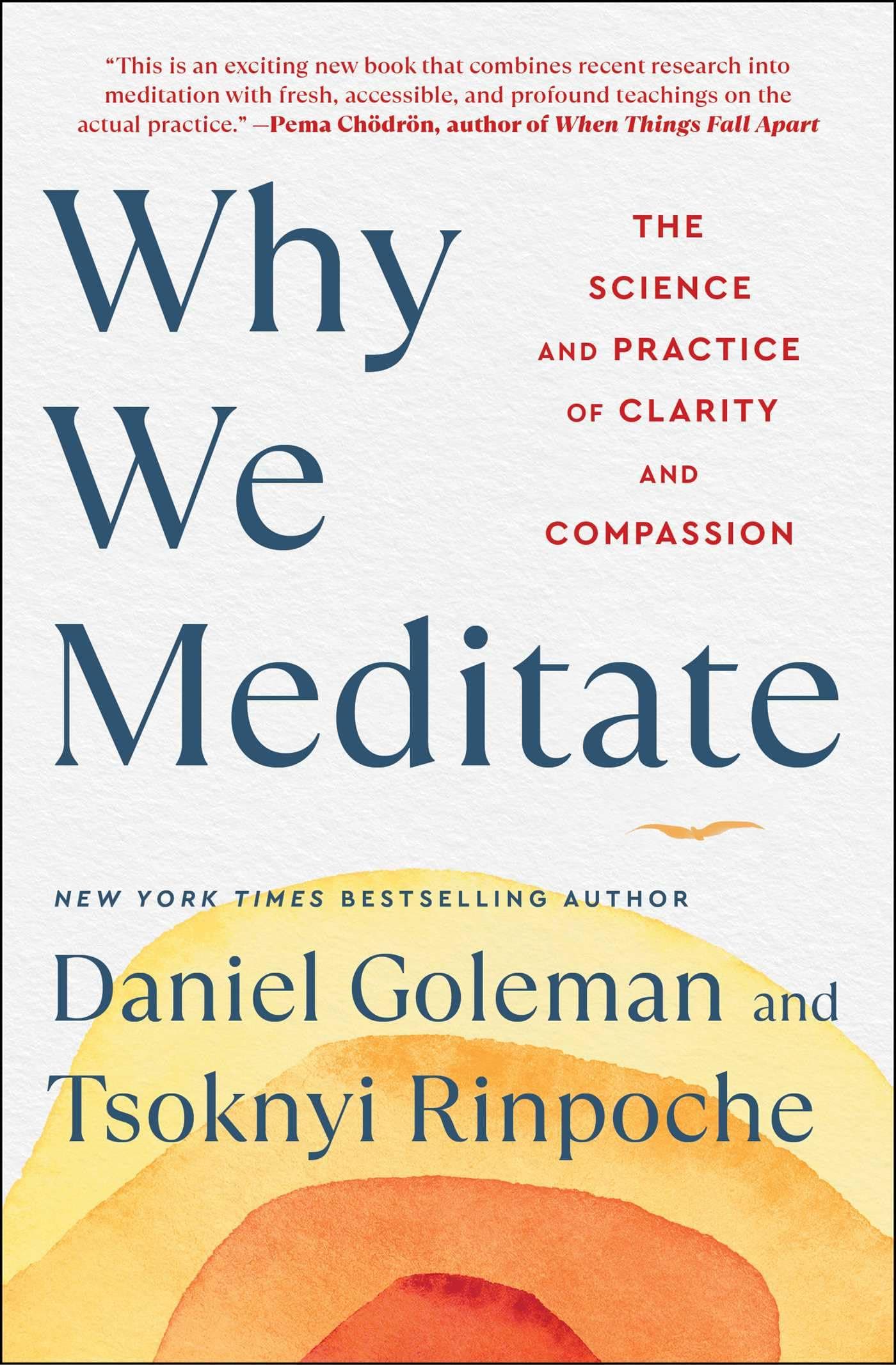 Why We Meditate: The Science and Practice of Clarity and Compassion - Image 1