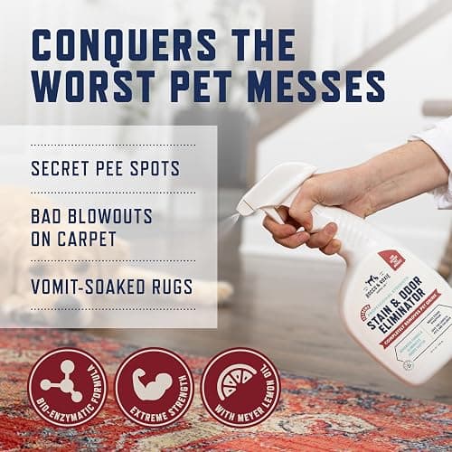 Rocco & Roxie Extreme Stain & Odor Eliminator for Strong Odor, Pet Urine Enzyme Cleaner Destroyer, Stain Remover, Dog Poop and Cat Pee, Enzymatic Carpet Cleaner Spray for Home, Puppy Potty Training thumbnail 4
