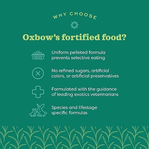 Oxbow Essentials Ferret Food, Vitamin & Mineral Rich Formula for Ferret, High Protein Food & High Fat, Small Animal Pet Products, Oxbow, Made in USA, 4 lb Bag thumbnail 10