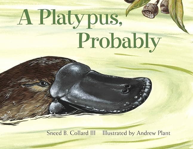 A Platypus, Probably - Image 1