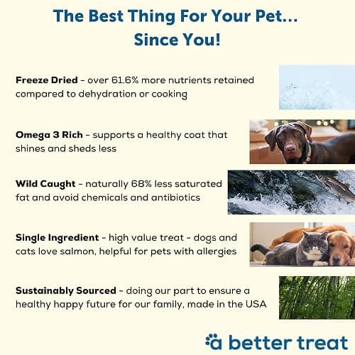 A Better Treat – Freeze Dried Salmon Dog Treats, Wild Caught, Single Ingredient | Natural High Value | Gluten Free, Grain Free, High Protein, Diabetic Friendly | Natural Fish Oil | Made in The USA thumbnail 3