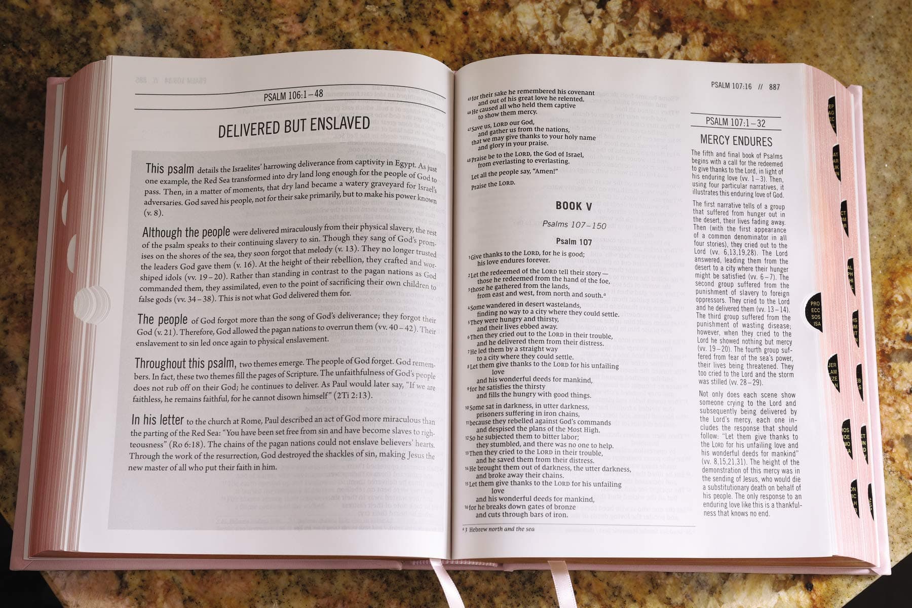 The Jesus Bible Indexed NIV Edition [Pink] thumbnail 6