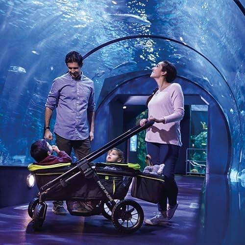 Evenflo Pivot Xplore All-Terrain Stroller Wagon (Wayfarer Black) thumbnail 10
