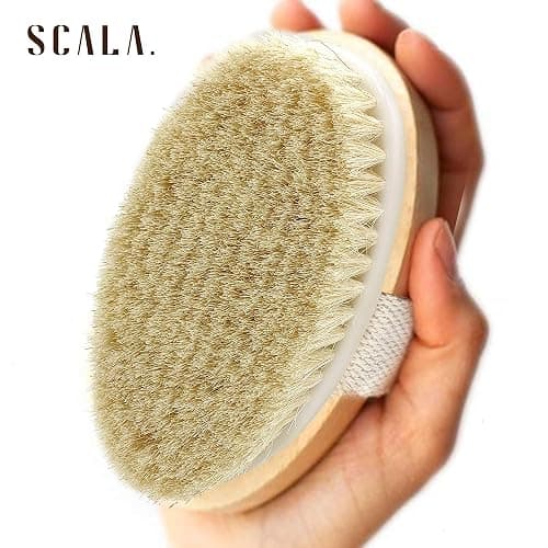 Dry Brushing Body Brush SCALA Natural Bristle Body Brush, Soft Body Exfoliating Brush Scrub for Dead Skin, Cellulite, Lymphatic Drainage, Blood Flow – Thicker & Stronger Medium Strength thumbnail 4