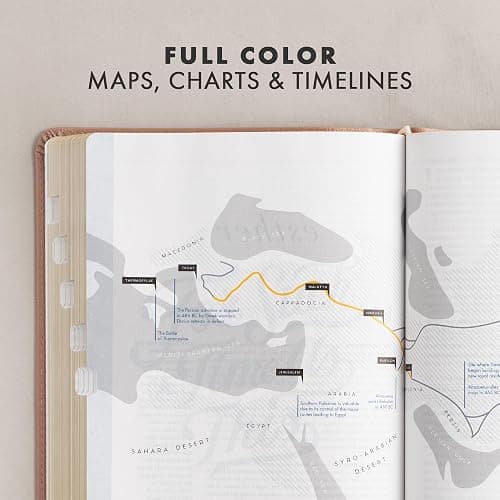 CSB She Reads Truth Bible, Rose Gold LeatherTouch, Indexed, Black Letter, Full-Color Design, Wide Margins, Journaling Space, Devotionals, Reading Plans, Single-Column, Easy-to-Read Bible Serif Type thumbnail 5