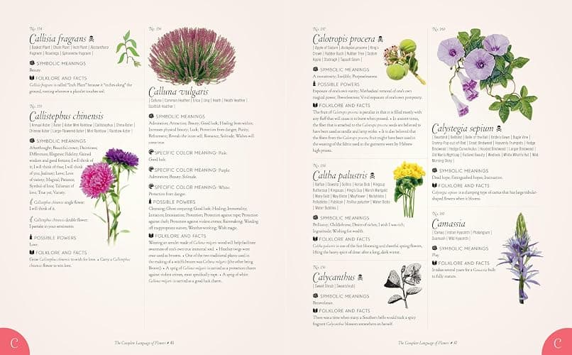 The Complete Language of Flowers: A Definitive and Illustrated History (Volume 3) (Complete Illustrated Encyclopedia, 3) thumbnail 6